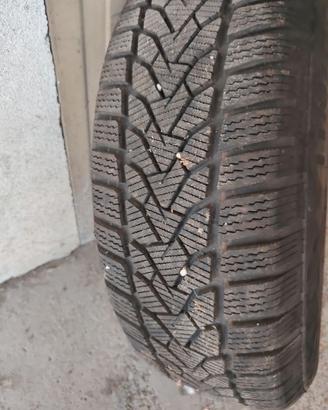 gomme invernali