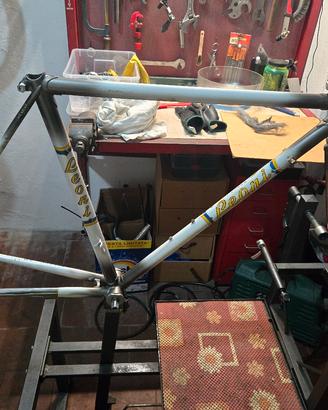 Telaio corsa Leoni