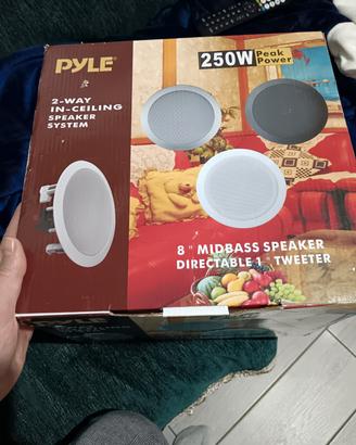 2 x Speaker 8" 250 watt