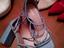 Immagine 3