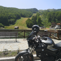 Bmw f800r