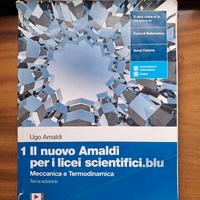 "Il nuovo Amaldi.blu", ISBN: 9788808938060