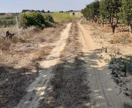 Terreno agricolo campobello di mazara