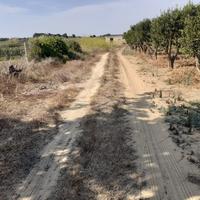 Terreno agricolo campobello di mazara