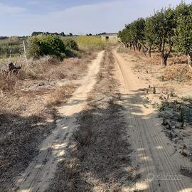 Terreno agricolo campobello di mazara
