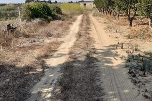 Terreno agricolo campobello di mazara