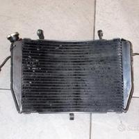 Radiatore acqua Yamaha R1 2008