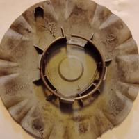 Coprimozzo Lancia musa