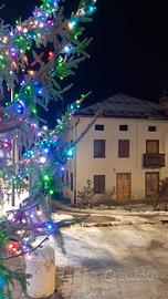 Cortina Olimpic Dolomiti apartment rental