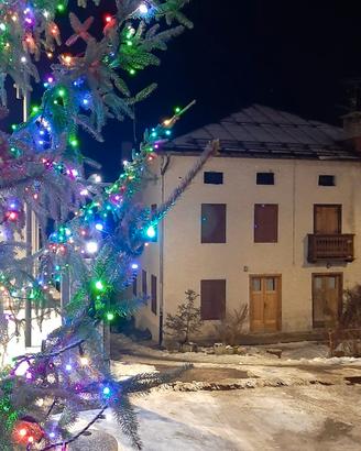 Cortina Olimpic Dolomiti apartment rental