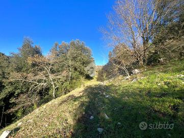 TER. AGRICOLO A TORRI IN SABINA