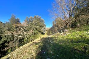 TER. AGRICOLO A TORRI IN SABINA
