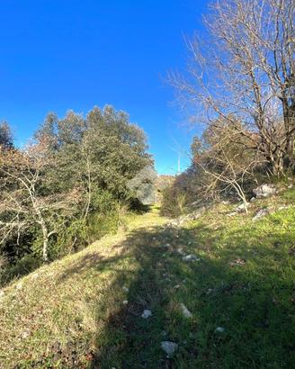 TER. AGRICOLO A TORRI IN SABINA
