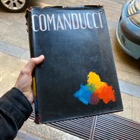 Edizione Comanducci pittori italiani