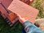 Immagine 4