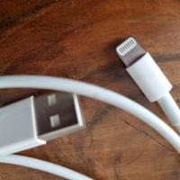 Alimentatore originale Apple Ipad