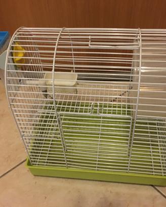Gabbia criceto