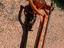 Immagine 14
