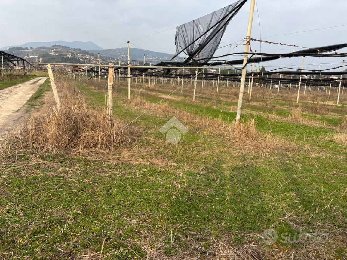 TERRENO A SANT'AMBROGIO DI VALPOLICELLA - Vista 4