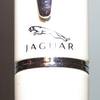 Penna stilografica Jaguar