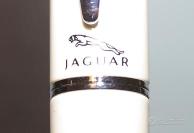 Penna stilografica Jaguar