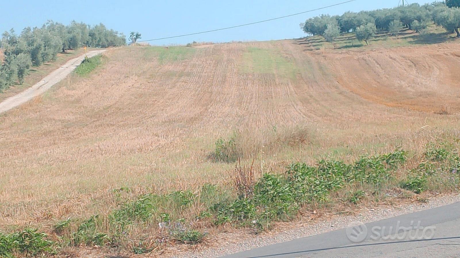 Terreno edificabile a Congiunti di Collecorvino - Vista 4