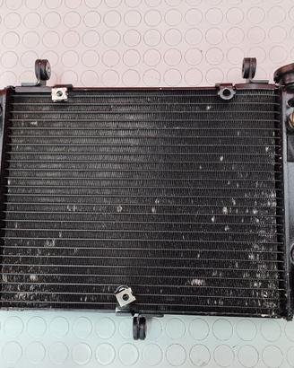 RADIATORE ACQUA YAMAHA YZF R6 2000 2001 R 2002 199