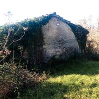 FABBRICATO con terreno