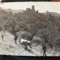 Cartolina di Aveyron paesaggio rurale