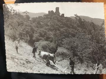 Cartolina di Aveyron paesaggio rurale