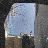 Parabrezza Honda Xadv (leggere)