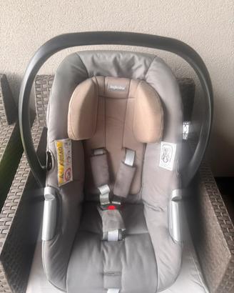 Ovetto inglesina darwin infant