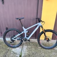 Trek remedy 8