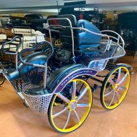 Carrozza per cavalli
