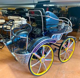 Carrozza per cavalli