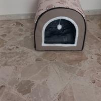 cuccia x cani