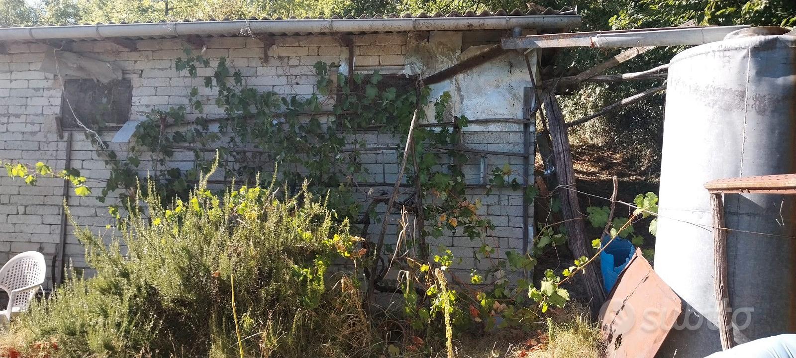 Terreno Agricolo con frutteto e fabbricati - Vista 2