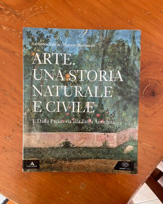 Arte. Una storia naturale e civile 1 di Settis