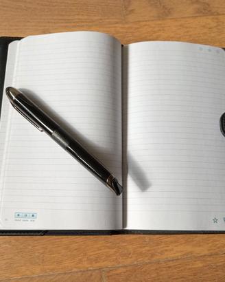 Penna digitale Livescribe 3