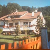 Villa singola con giardino