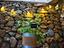 Immagine 26