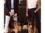 Immagine 30