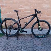 Mtb focus raven