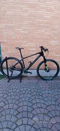 Mtb focus raven