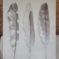 Quadro
