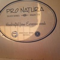 Chitarra Gewa Pro Nature , Maple 7/8