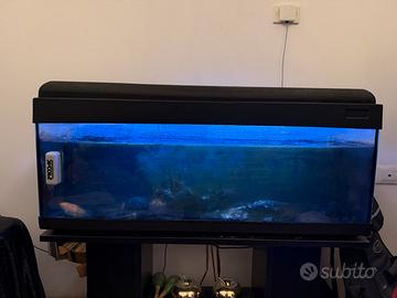 Acquario 100 litri