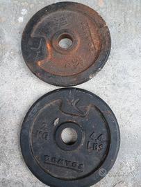 Set 2 pesi da 2 kg