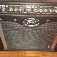 peavey envoy 110