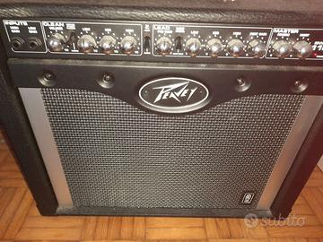 peavey envoy 110